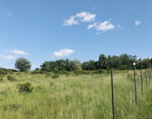Teren intravilan 2.673 mp | Feiurdeni, Chinteni